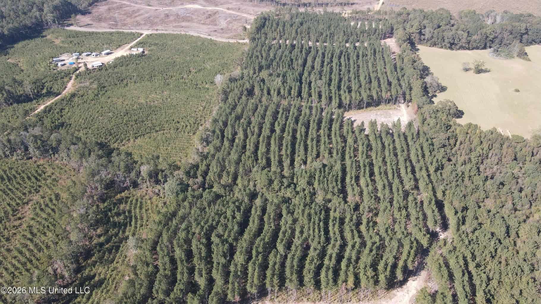 35 Acres for Sale in Pelahatchie, MS | Rankin County