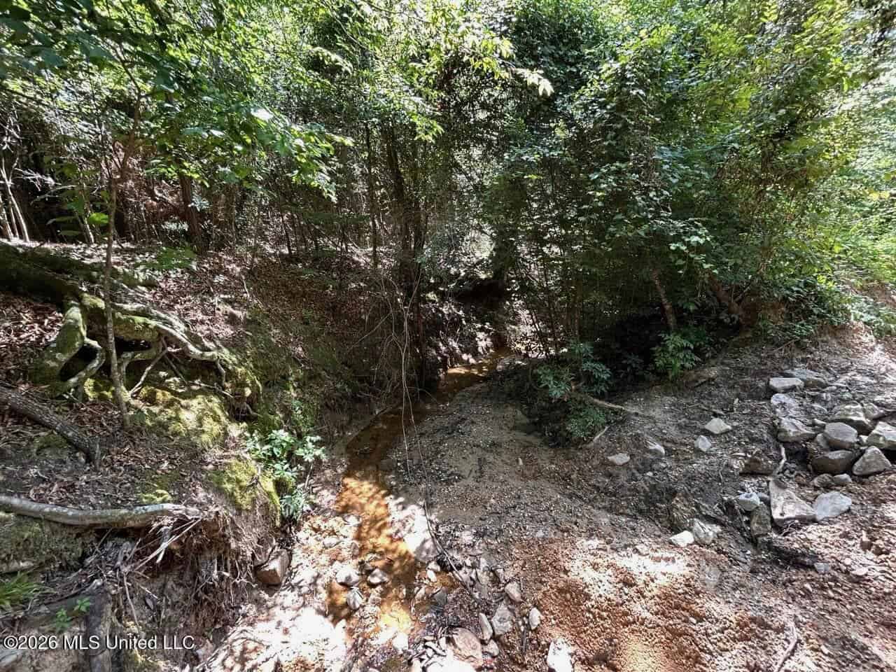 11± Acres in McCall Creek, MS with Creek Frontage