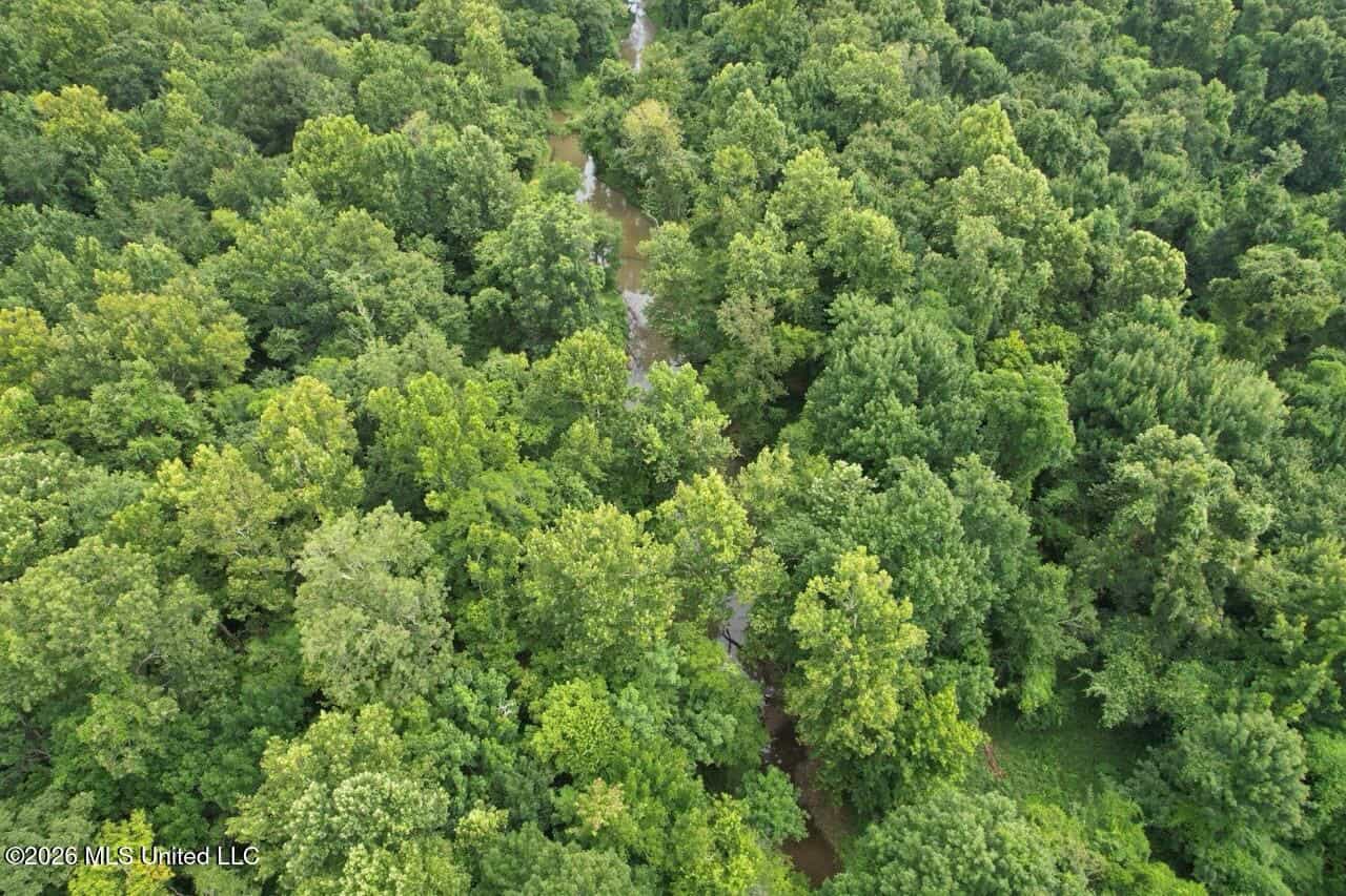 140± Acres in West Feliciana Parish, LA