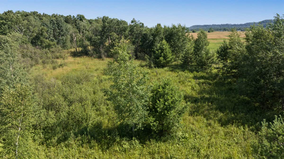 Wisconsin Conservation Land for Sale | 97± Acres in Monroe County