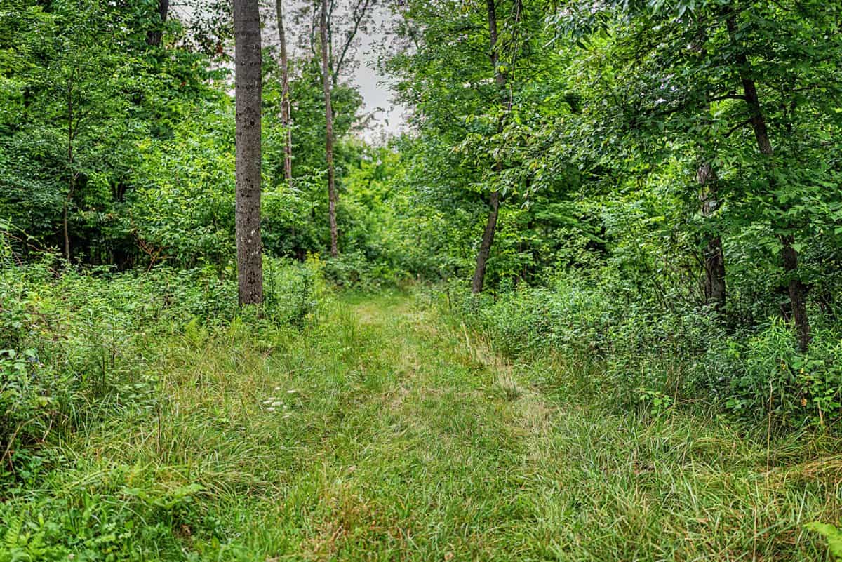 47± Acre Hunting Property with Cabin | Vernon County, Wisconsin