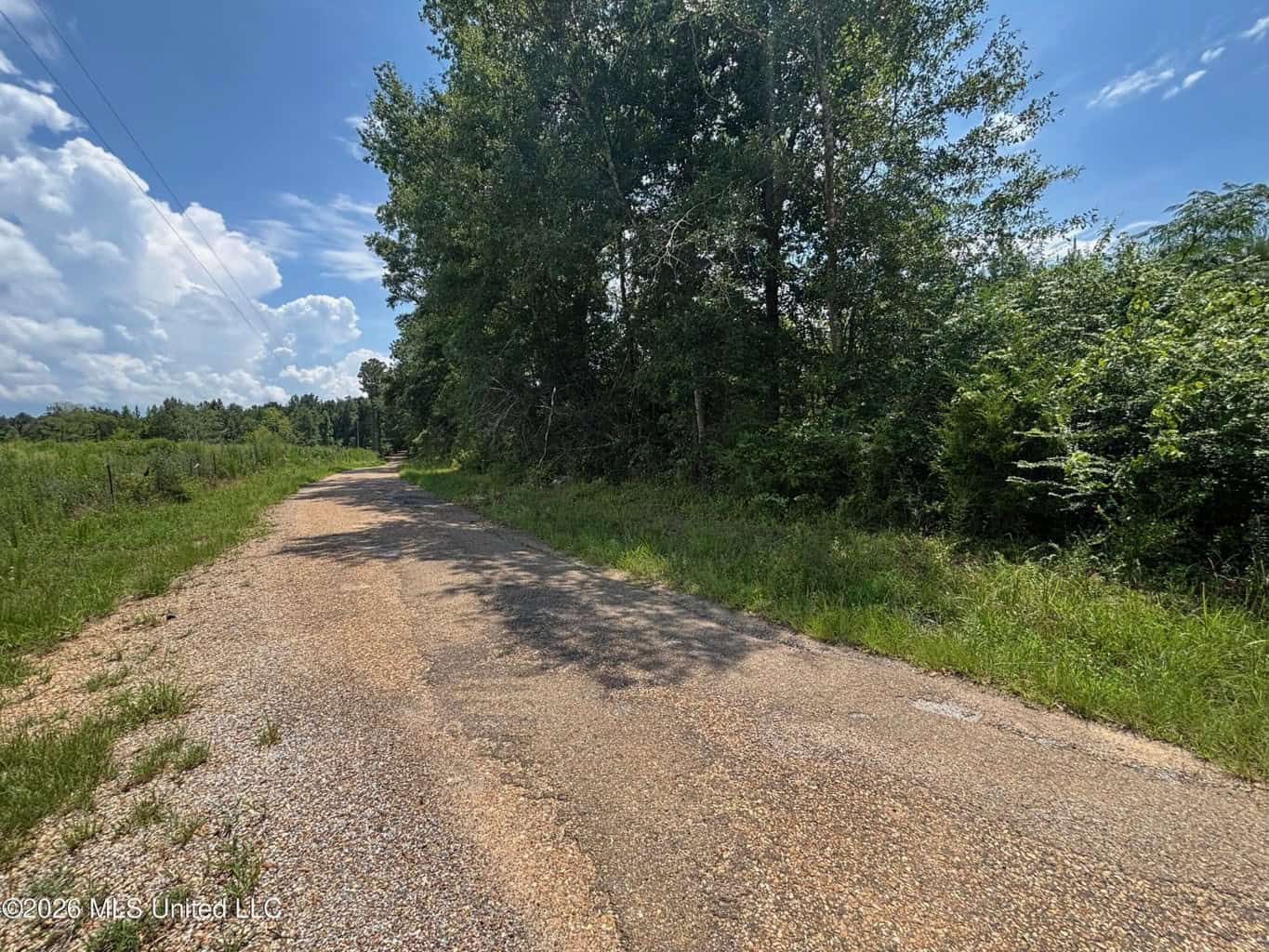 37 Acres for Sale in Morton, MS | Wooded Land