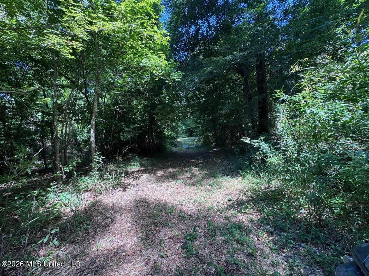 45± Acres in Aimwell, LA with Ford Creek Frontage