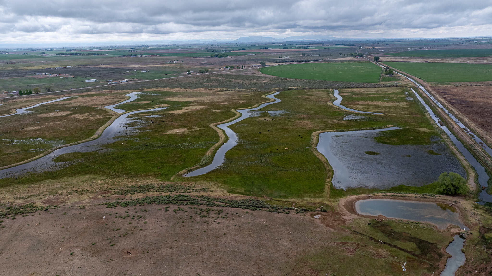 Colorado Alfalfa Farm and Waterfowl Duck Hunting Property