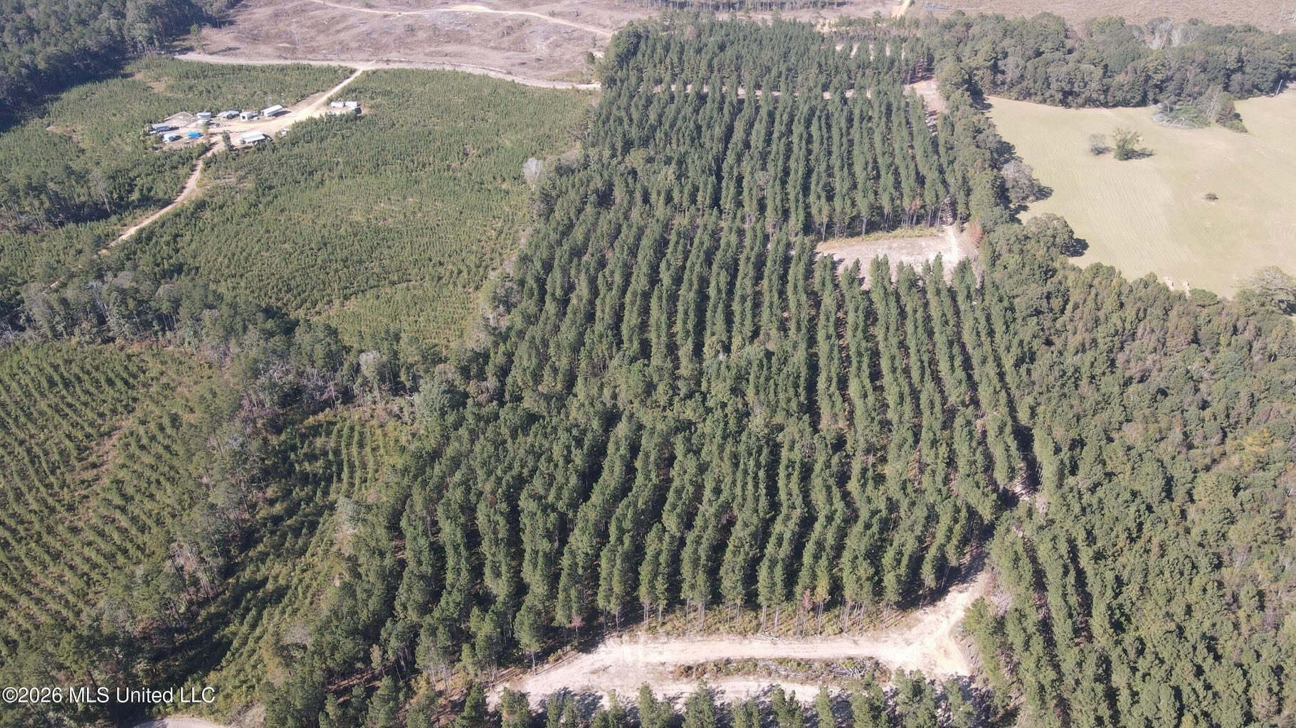 35 Acres for Sale in Pelahatchie, MS | Rankin County