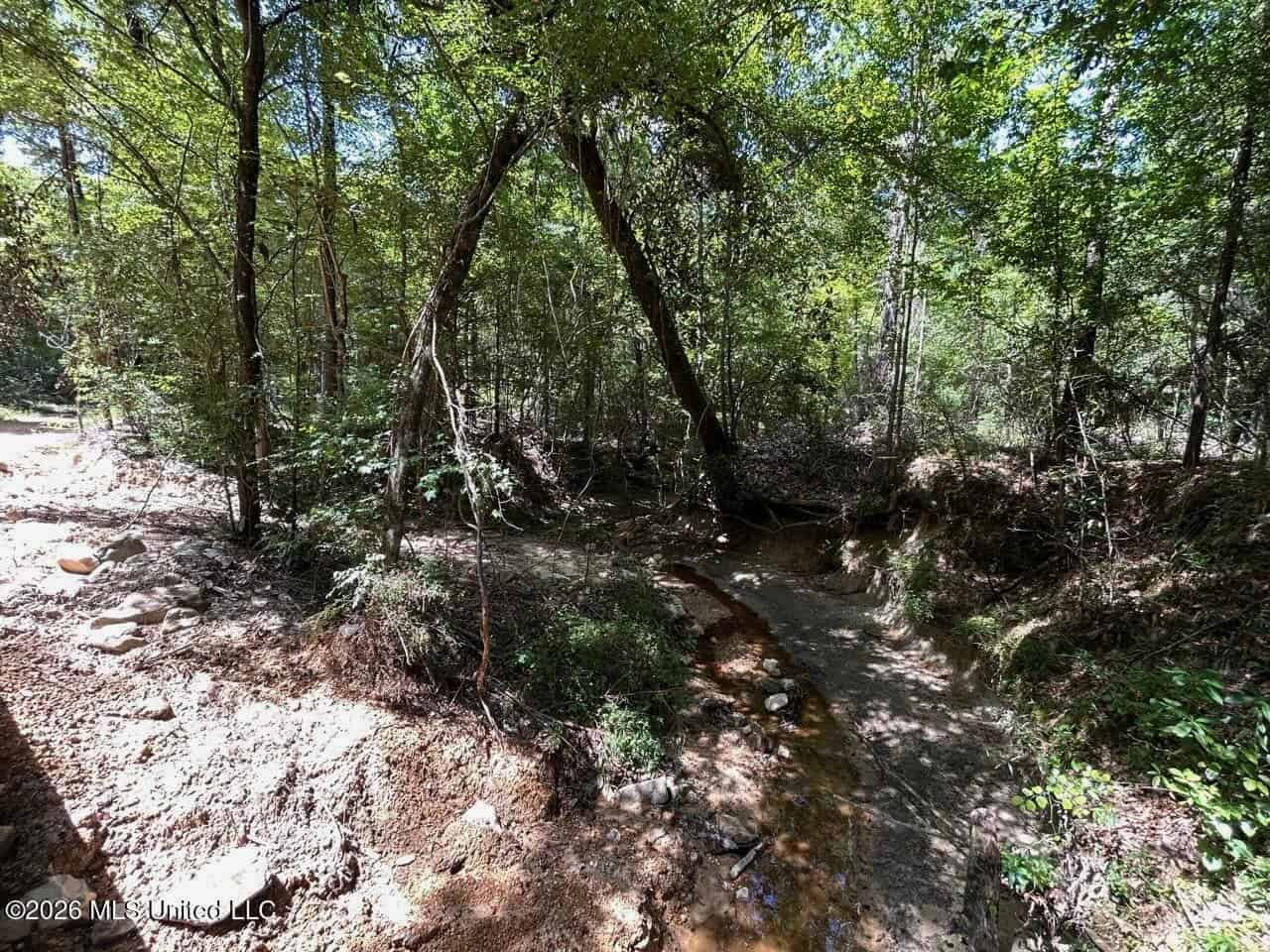 11± Acres in McCall Creek, MS with Creek Frontage
