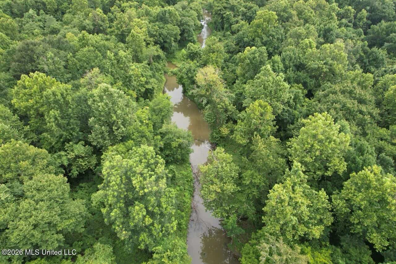 140± Acres in West Feliciana Parish, LA