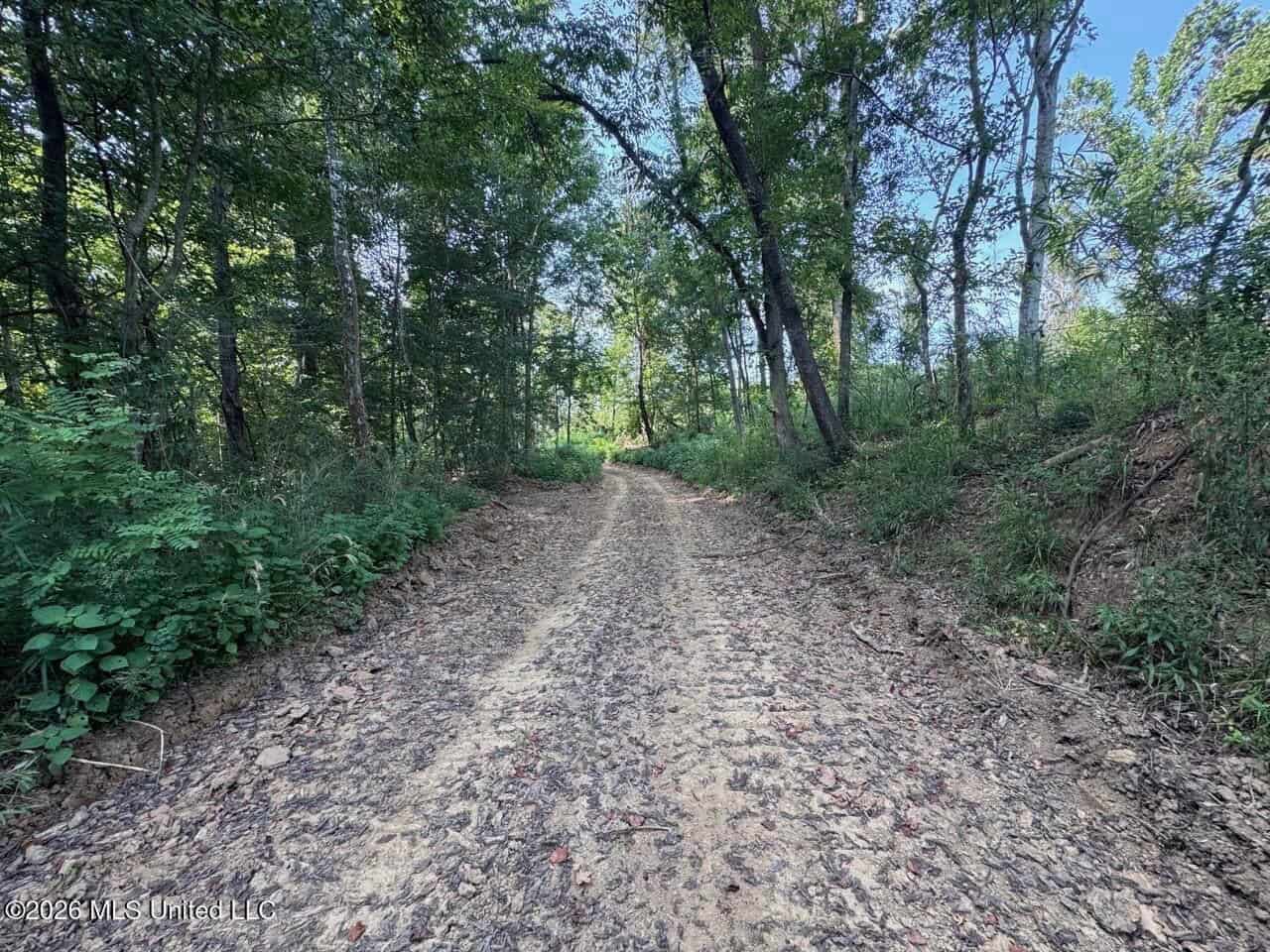 375± Acres in Jefferson County, MS Near Natchez Trace