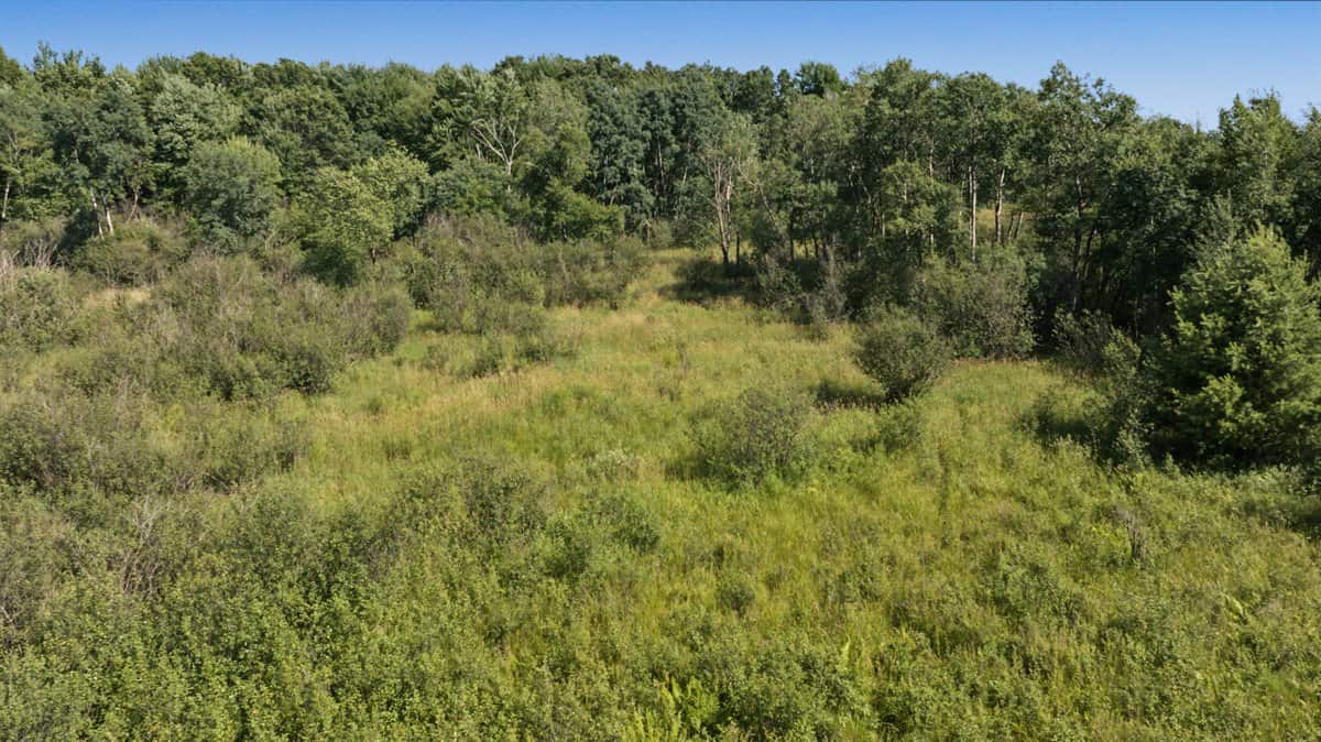 Wisconsin Conservation Land for Sale | 97± Acres in Monroe County