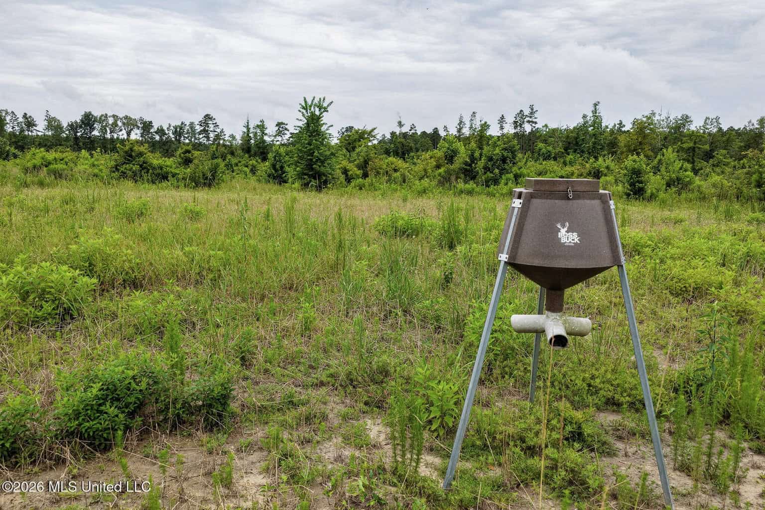 63.75 AC Amite County, MS Hunting Property