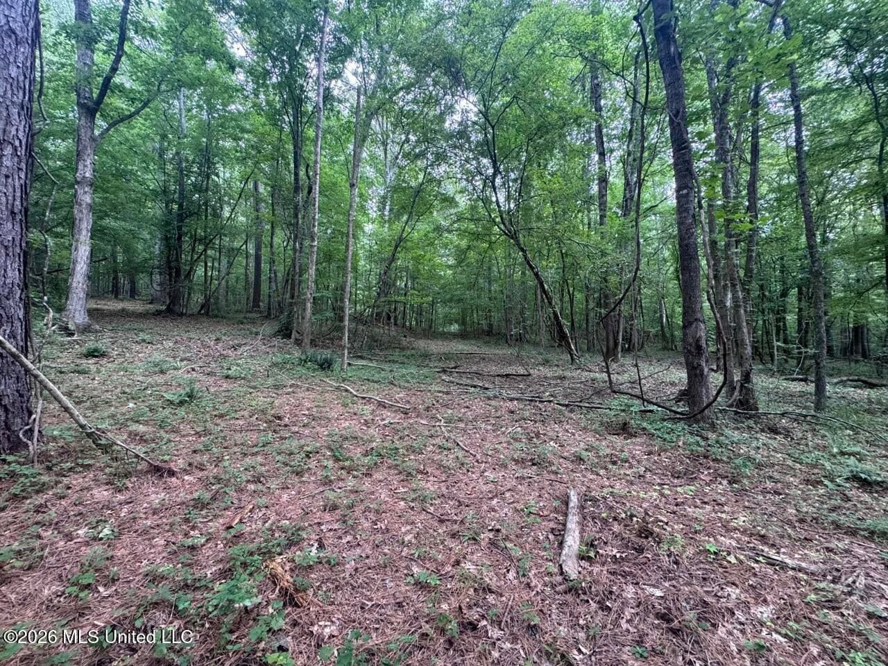 98± Acres in Natchez, MS on Second Creek
