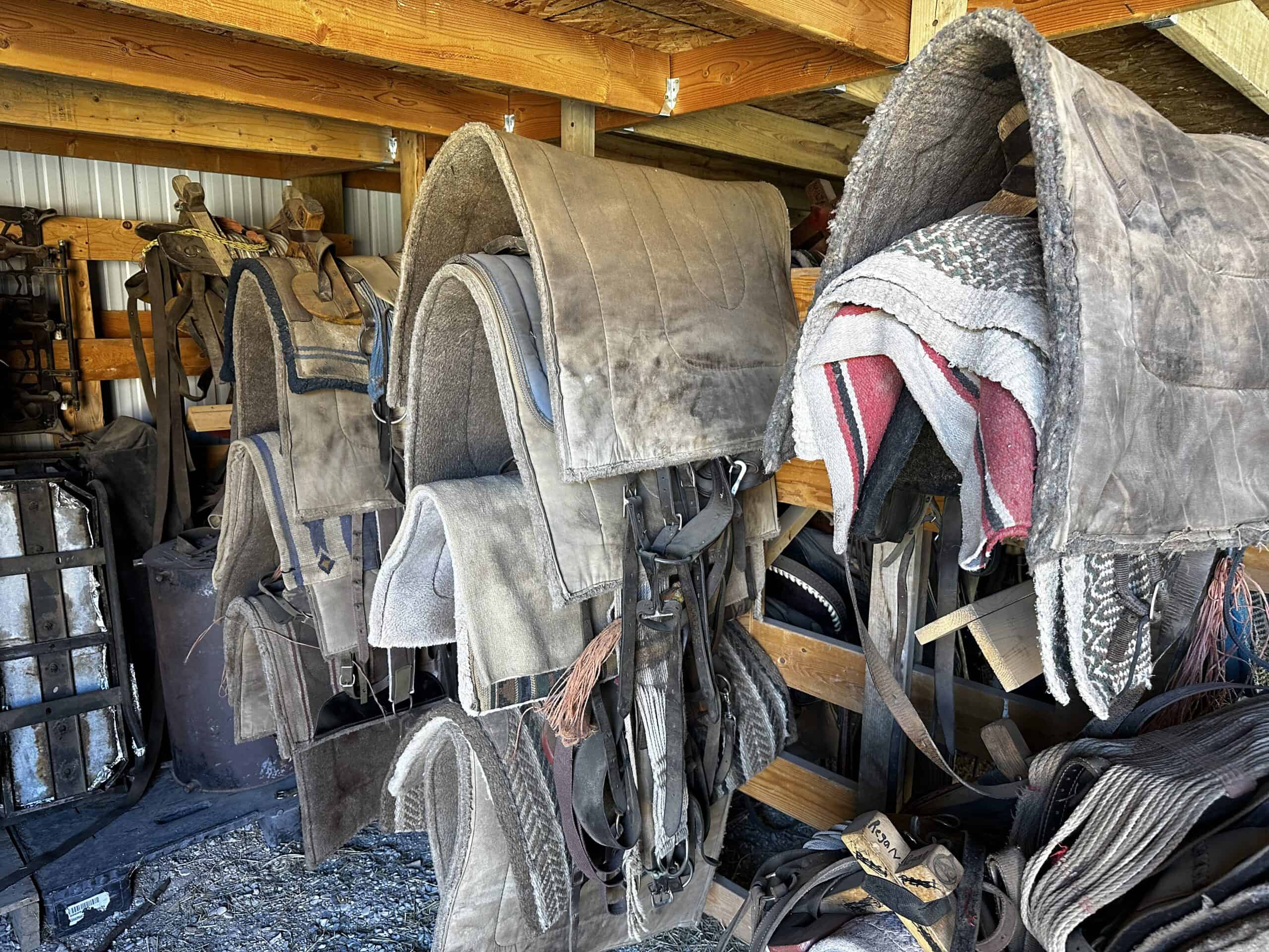 Colorado Wilderness Elk Hunting Outfitting Business for Sale