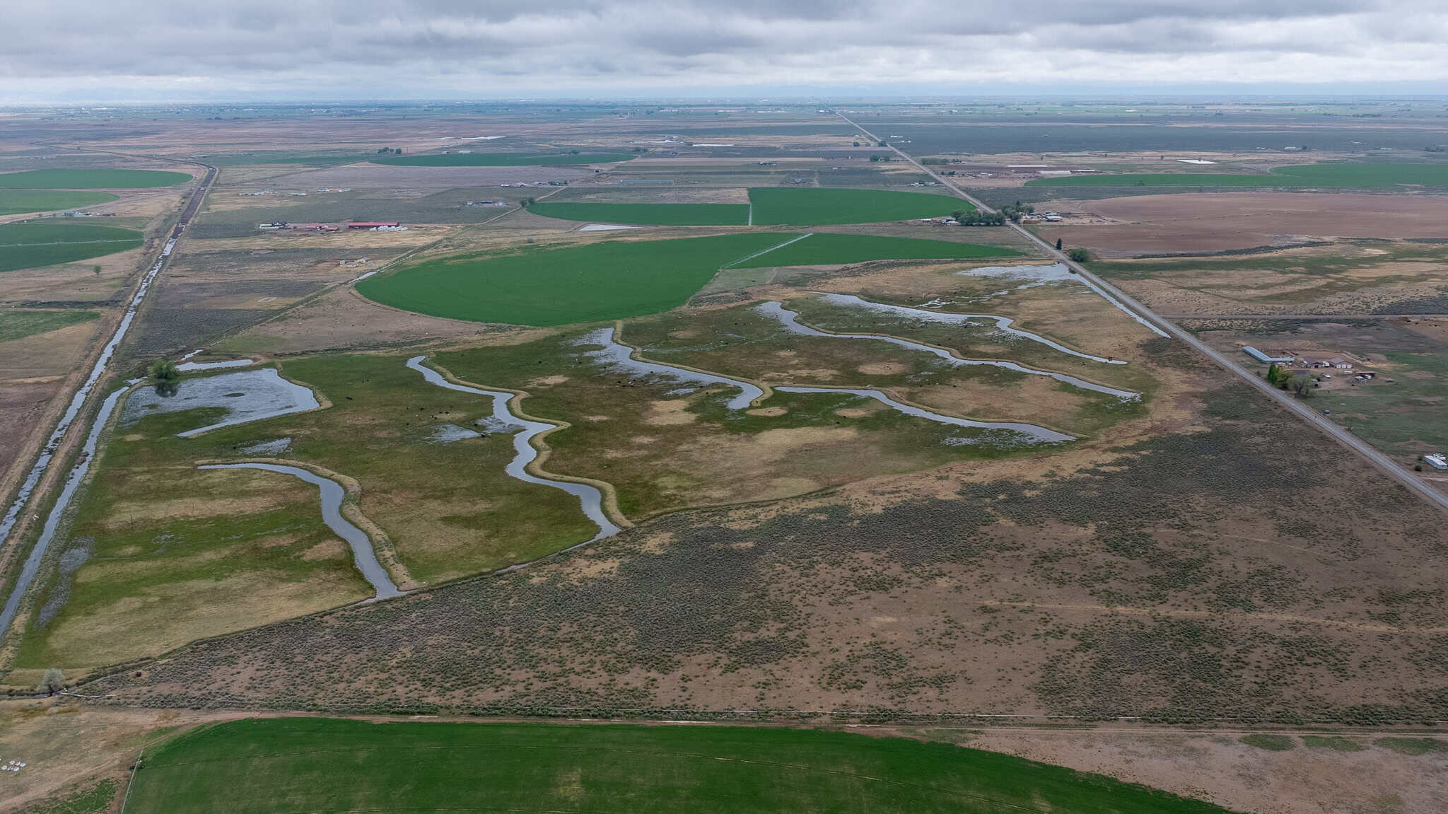 Colorado Alfalfa Farm and Waterfowl Duck Hunting Property