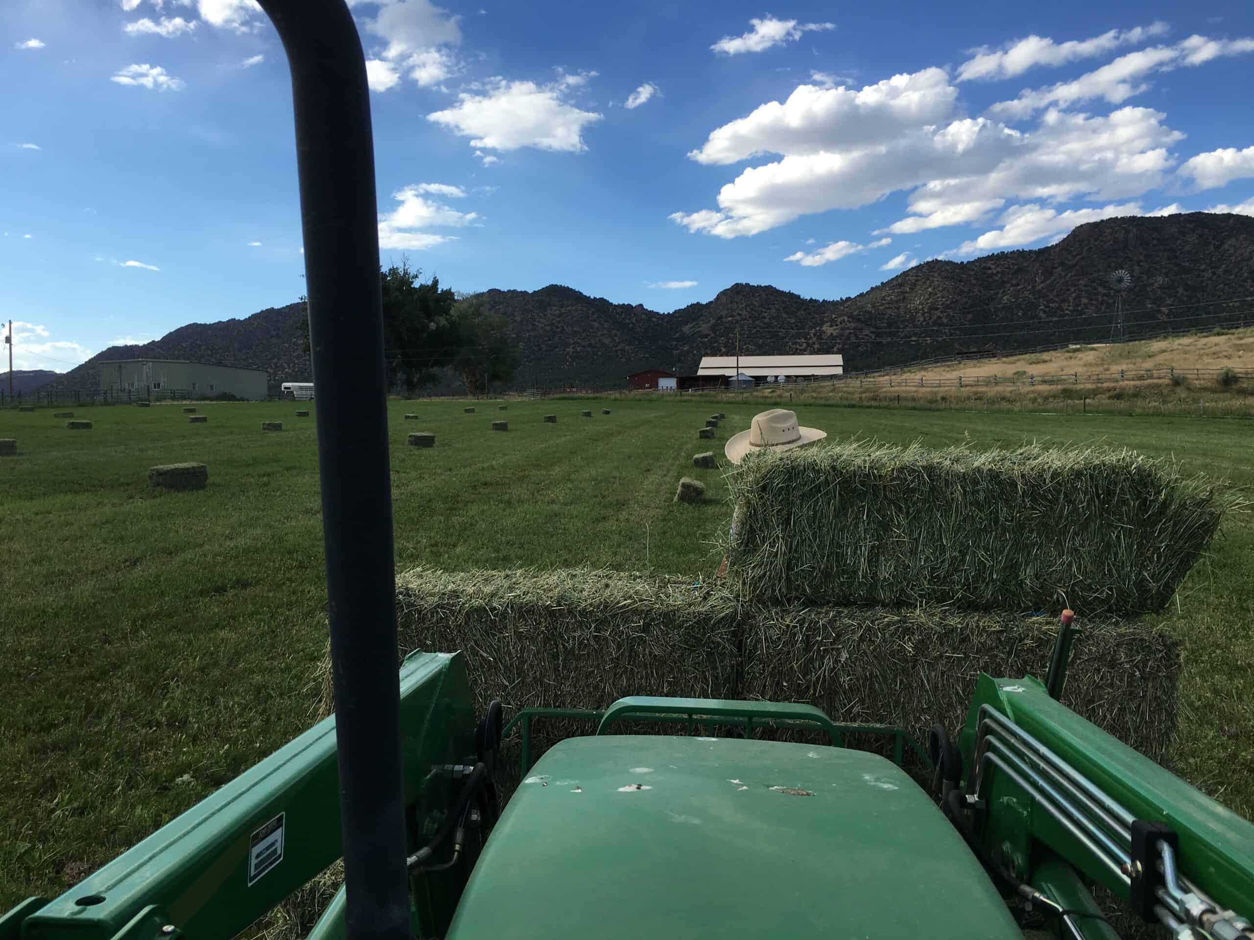 Colorado Horse Property with Multiple Homes & Irrigated Land