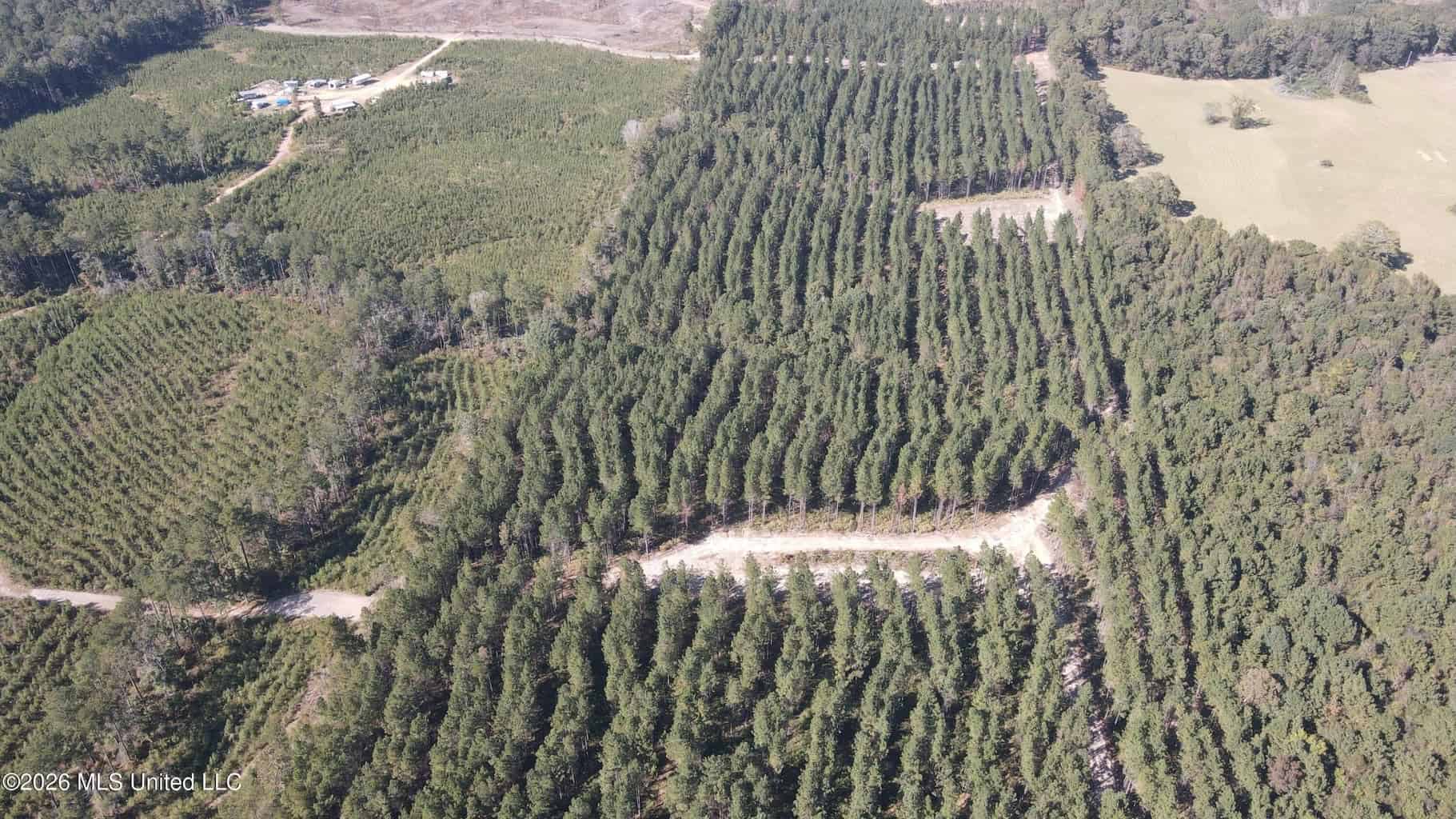35 Acres for Sale in Pelahatchie, MS | Rankin County