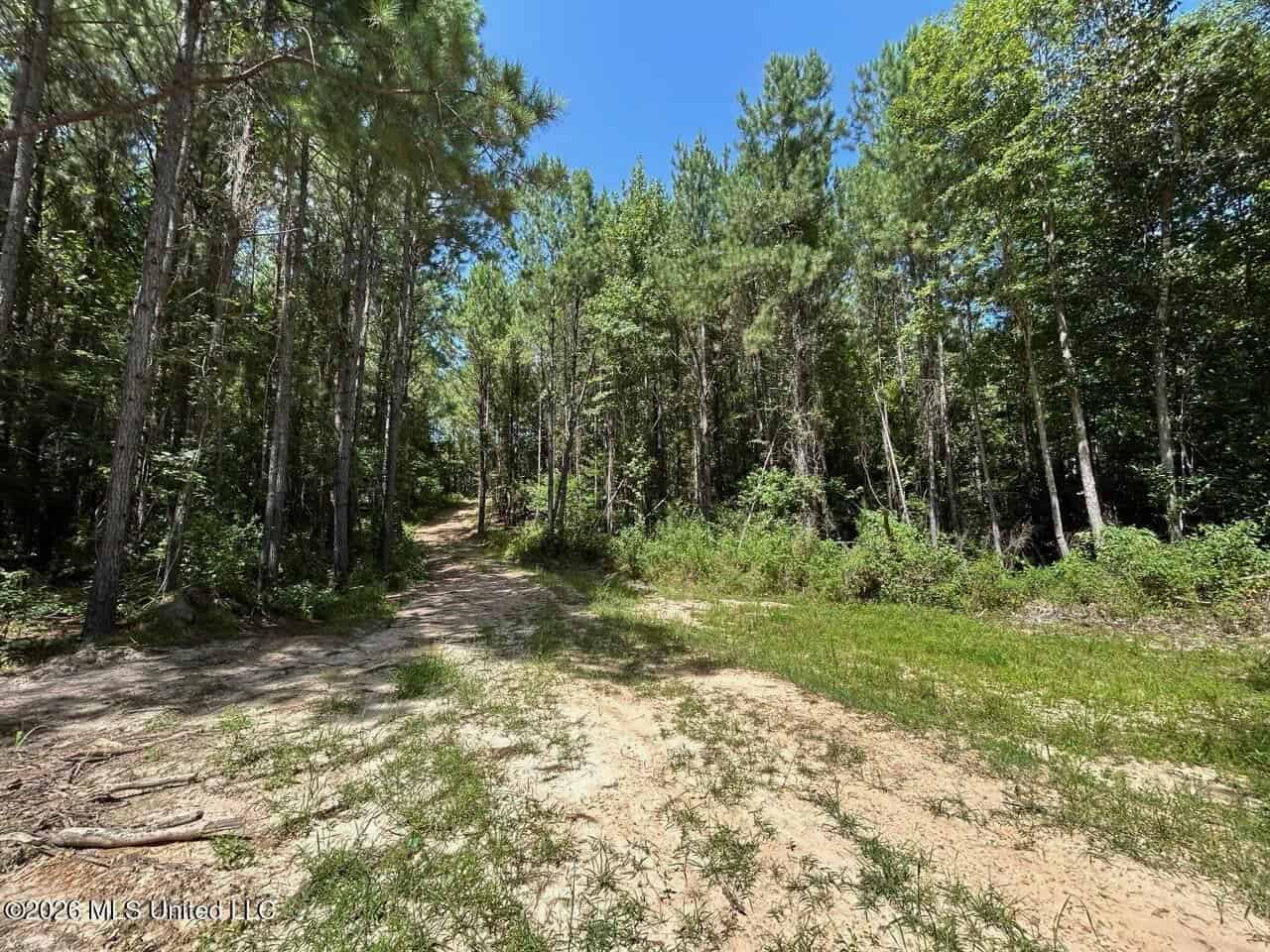 11± Acres in McCall Creek, MS with Creek Frontage