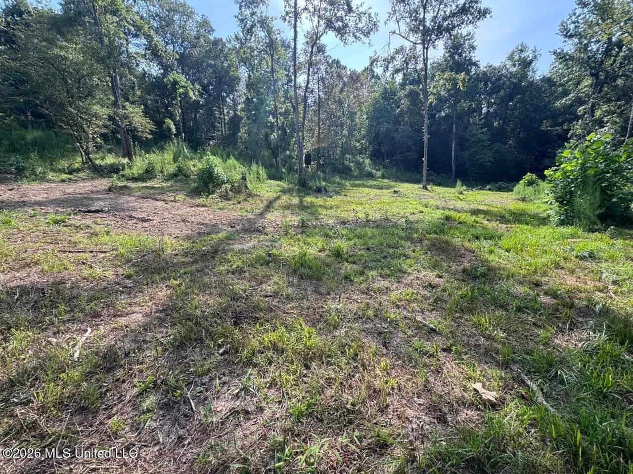 375± Acres in Jefferson County, MS Near Natchez Trace