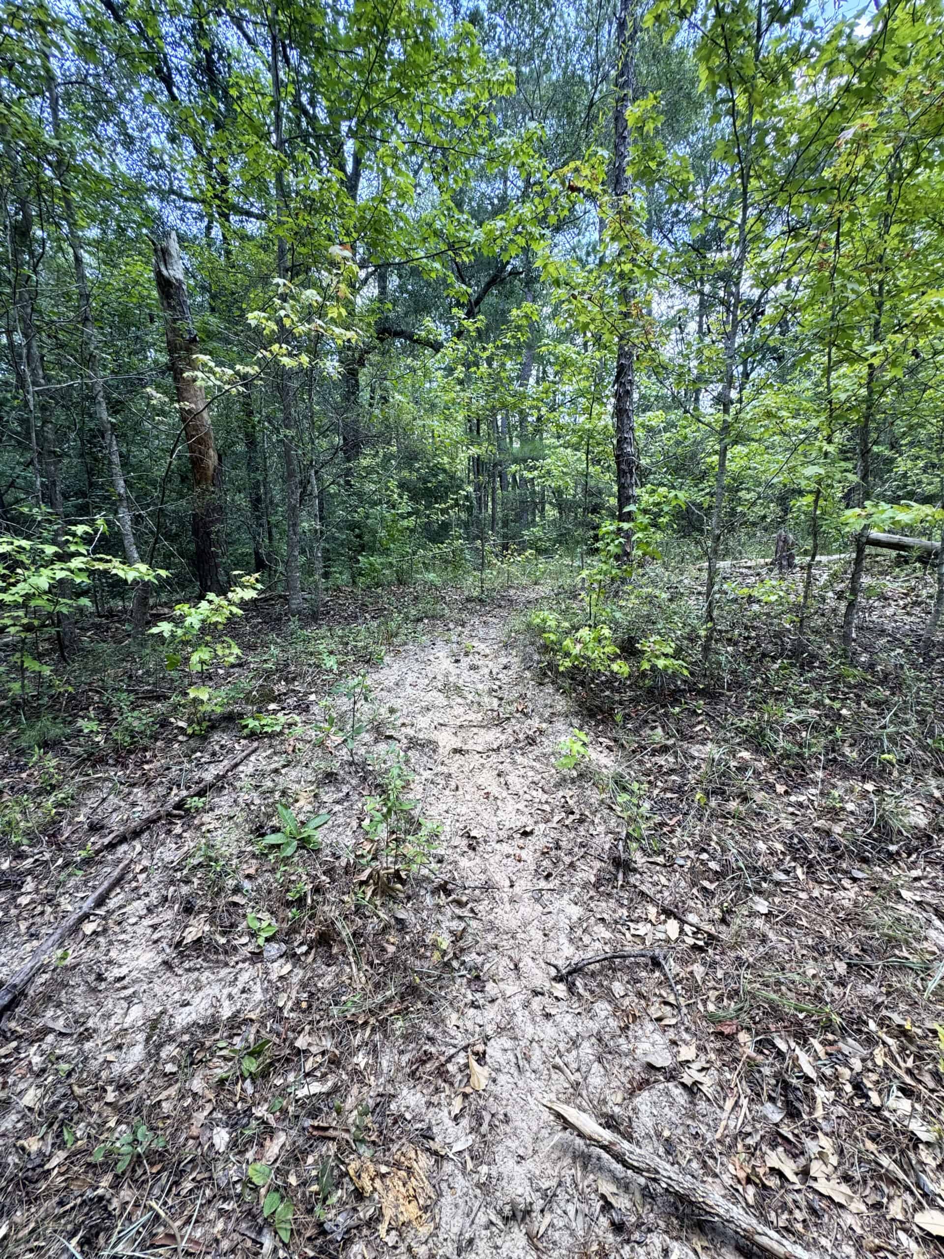 Cotton House Tract: premier 545ac hunting & recreational property in Randolph Cty