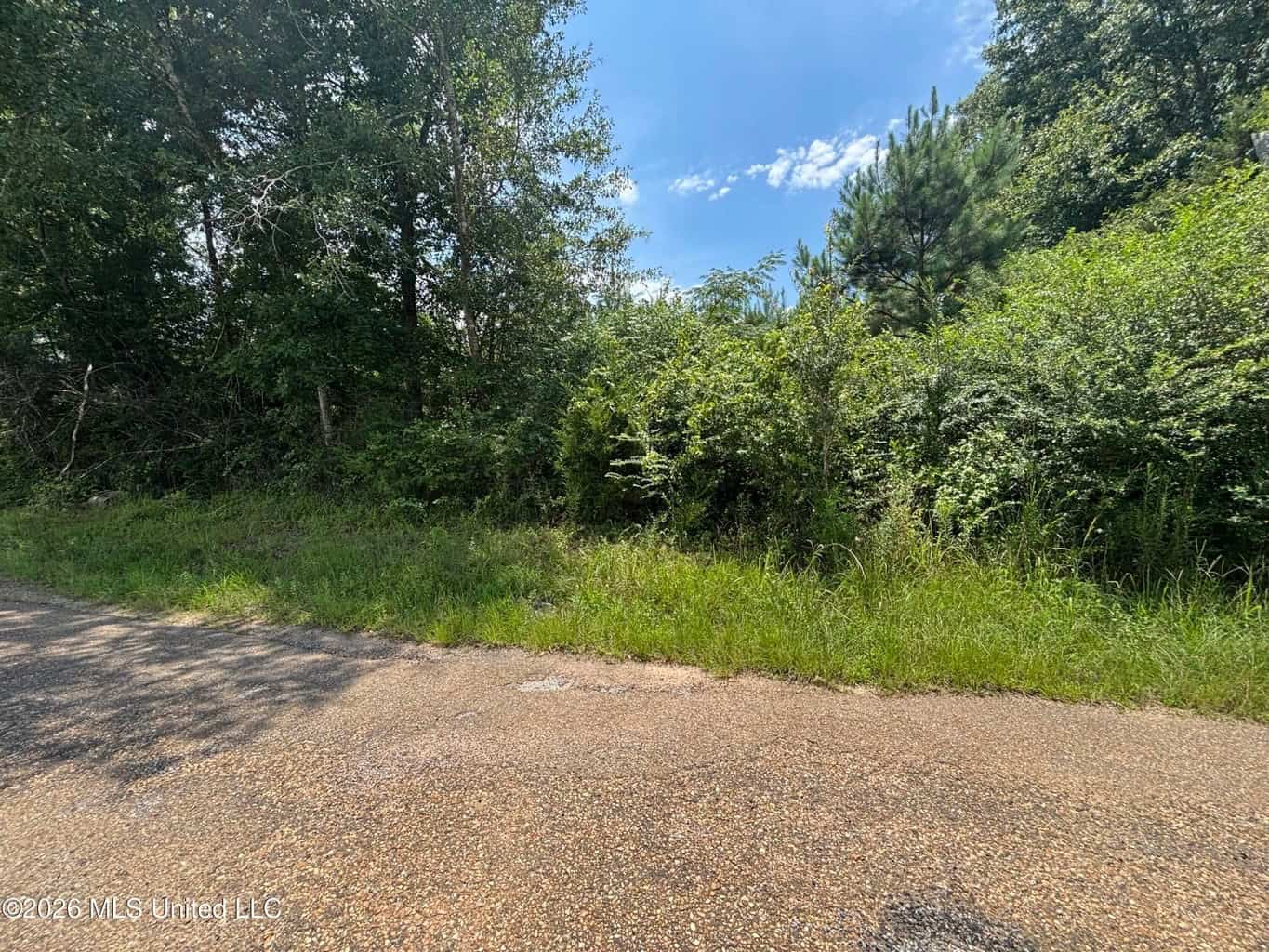 37 Acres for Sale in Morton, MS | Wooded Land