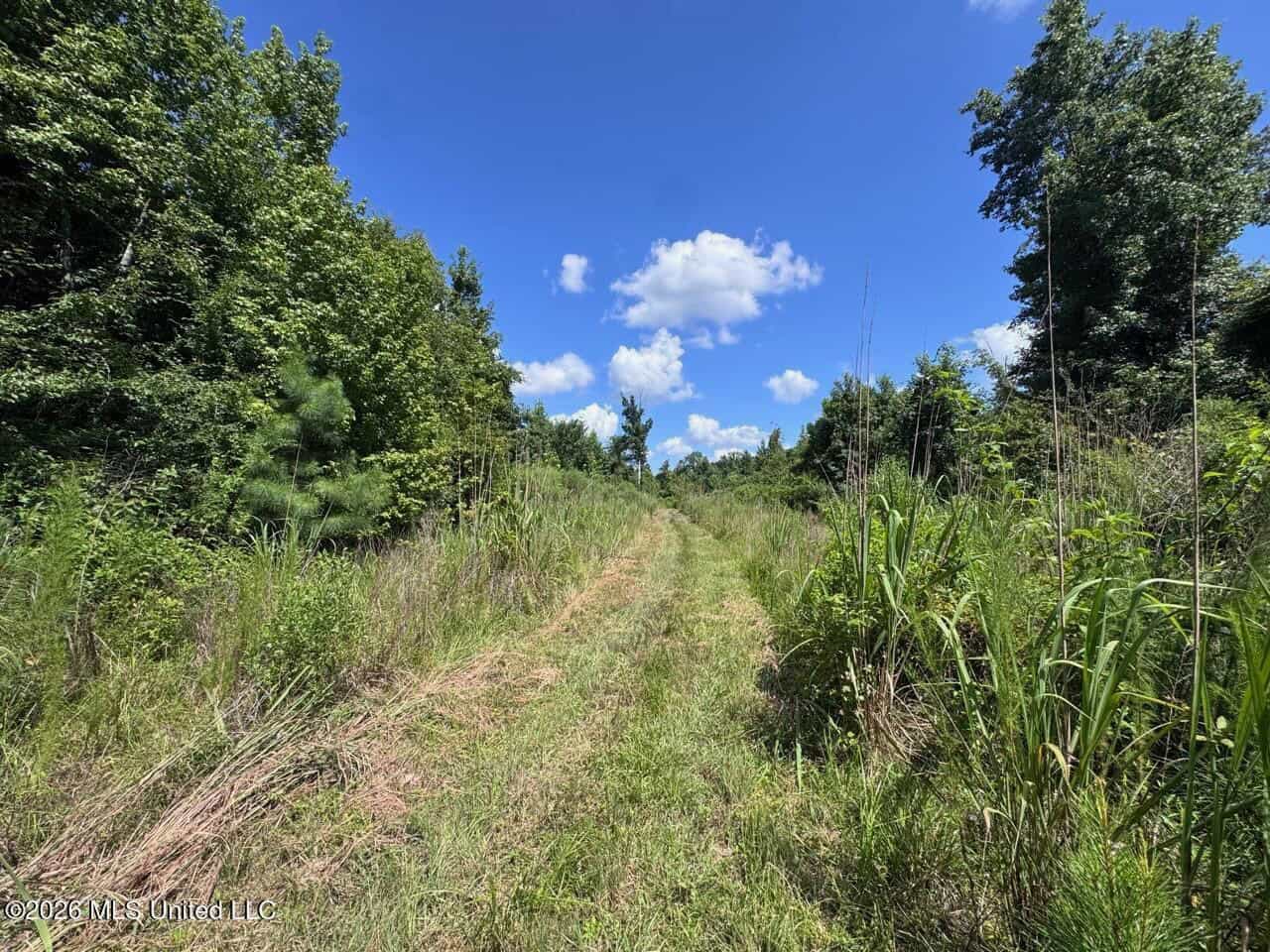 45± Acres in Aimwell, LA with Ford Creek Frontage