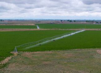 Colorado Alfalfa Farm and Waterfowl Duck Hunting Property