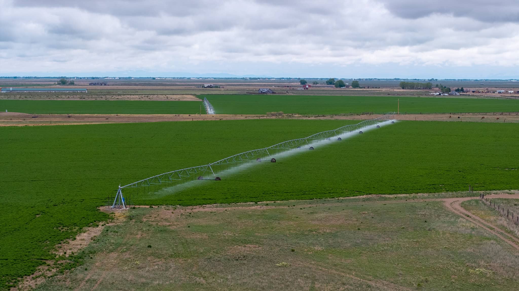 Colorado Alfalfa Farm and Waterfowl Duck Hunting Property