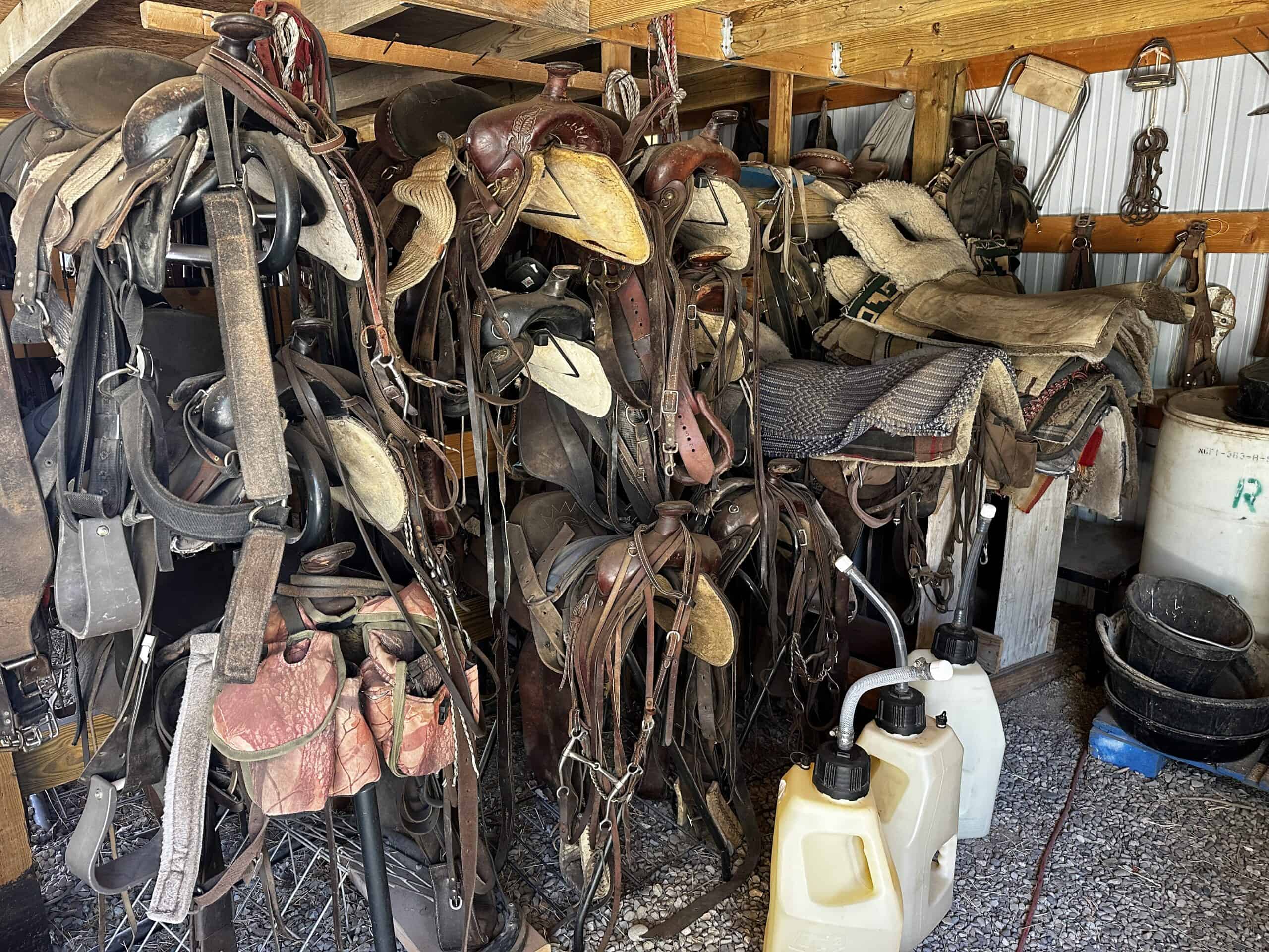 Colorado Wilderness Elk Hunting Outfitting Business for Sale