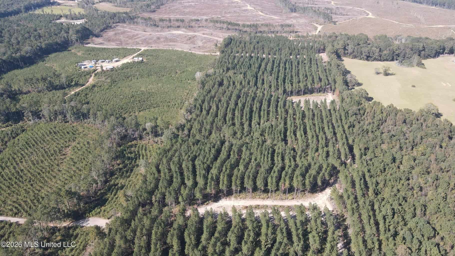 35 Acres for Sale in Pelahatchie, MS | Rankin County