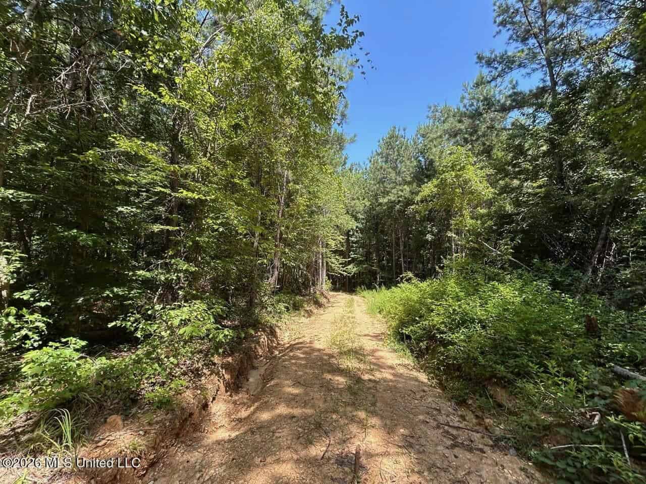 11± Acres in McCall Creek, MS with Creek Frontage