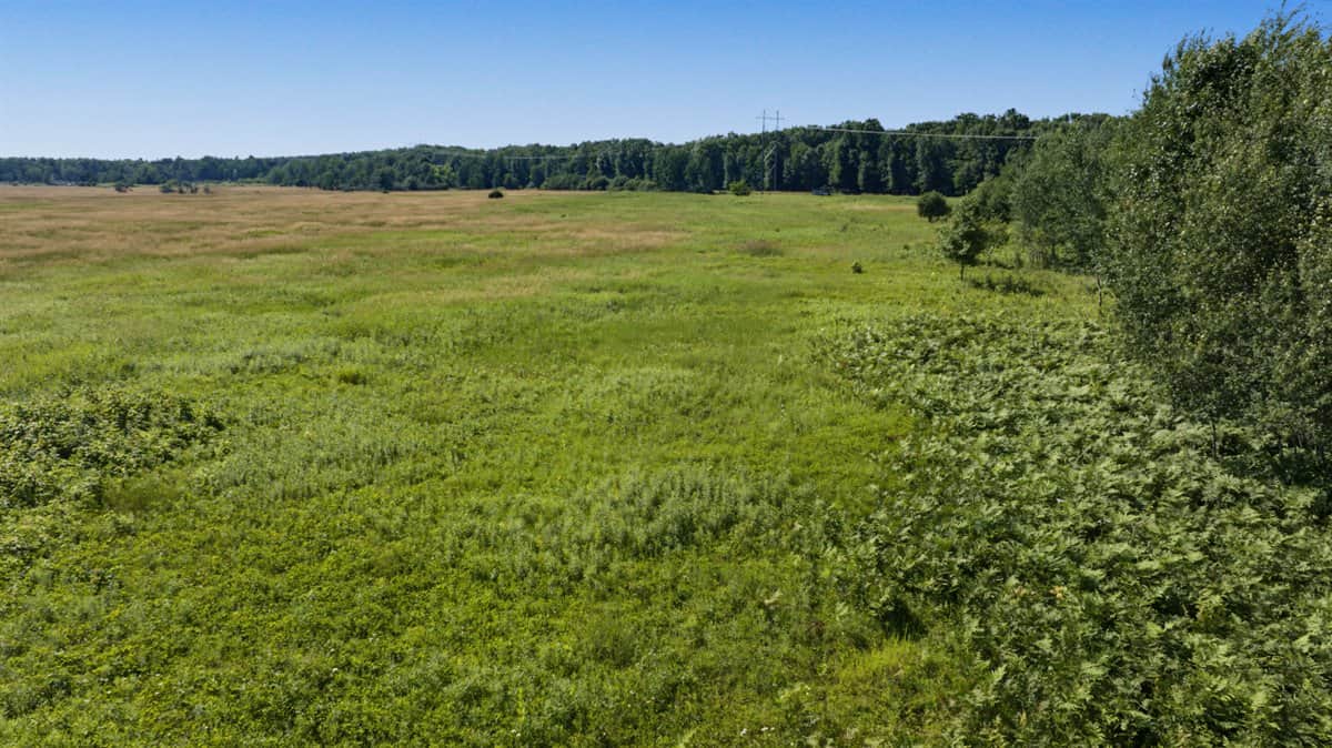Wisconsin Conservation Land for Sale | 97± Acres in Monroe County