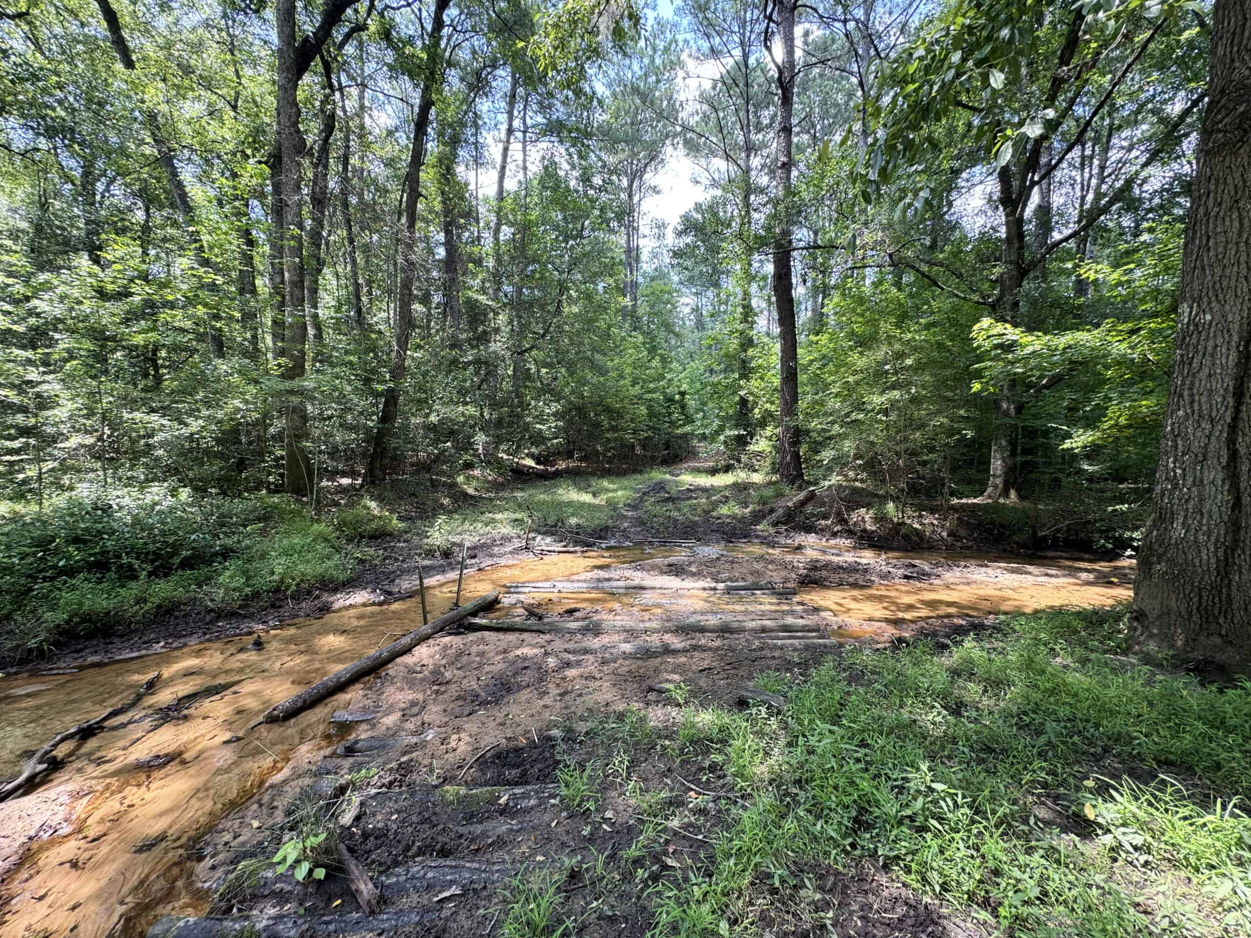 Cotton House Tract: premier 545ac hunting & recreational property in Randolph Cty