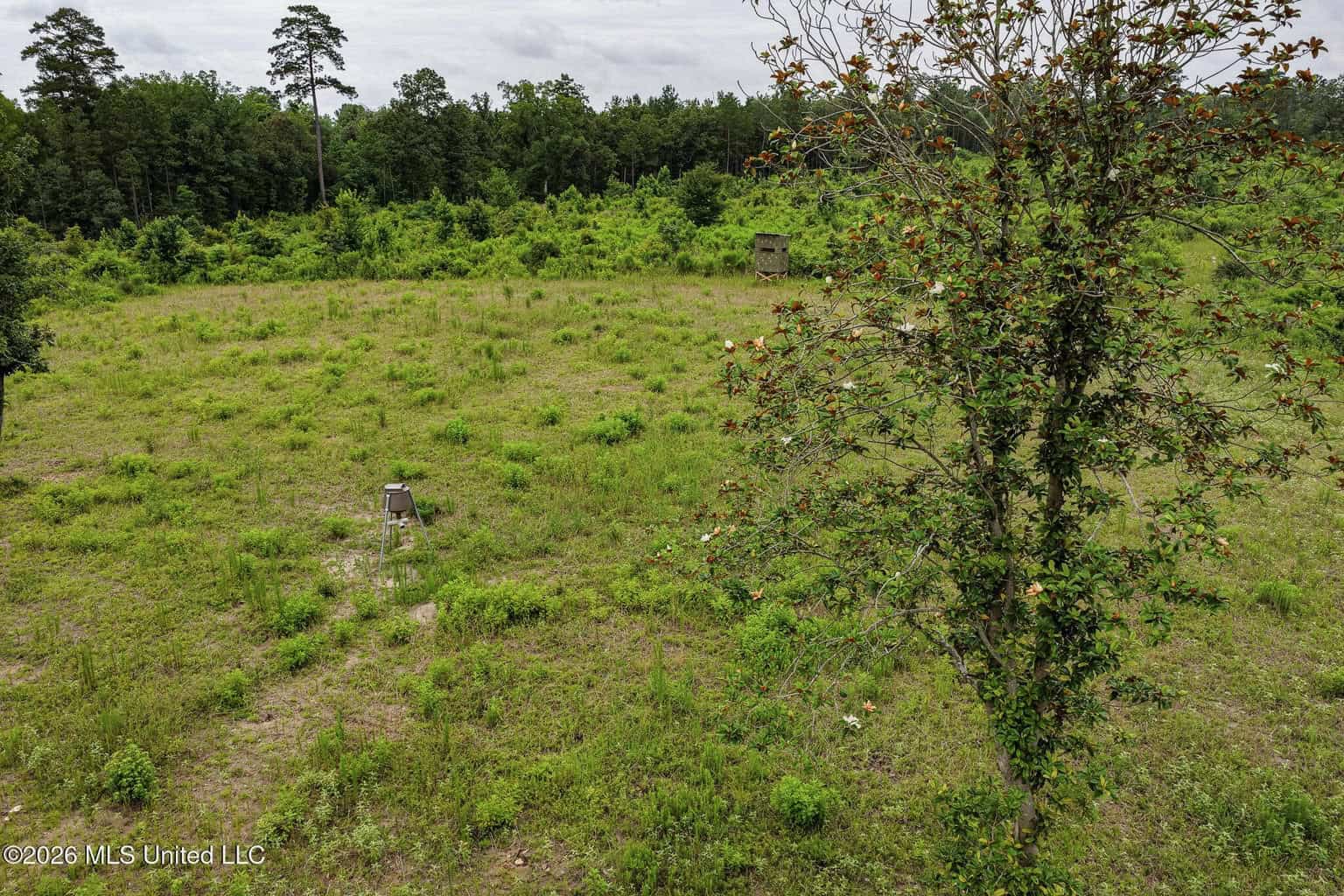 63.75 AC Amite County, MS Hunting Property