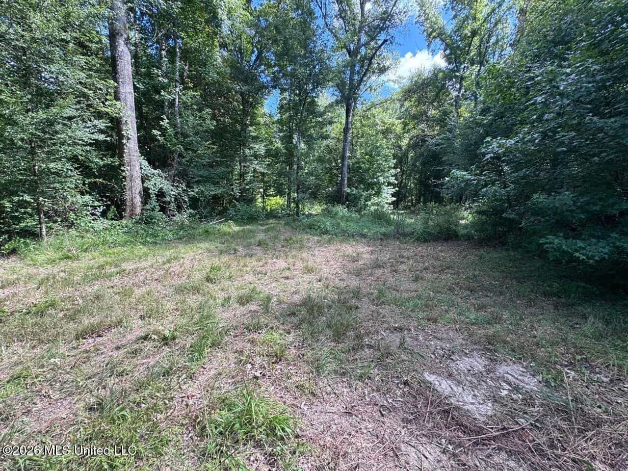 45± Acres in Aimwell, LA with Ford Creek Frontage