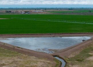 Colorado Alfalfa Farm and Waterfowl Duck Hunting Property
