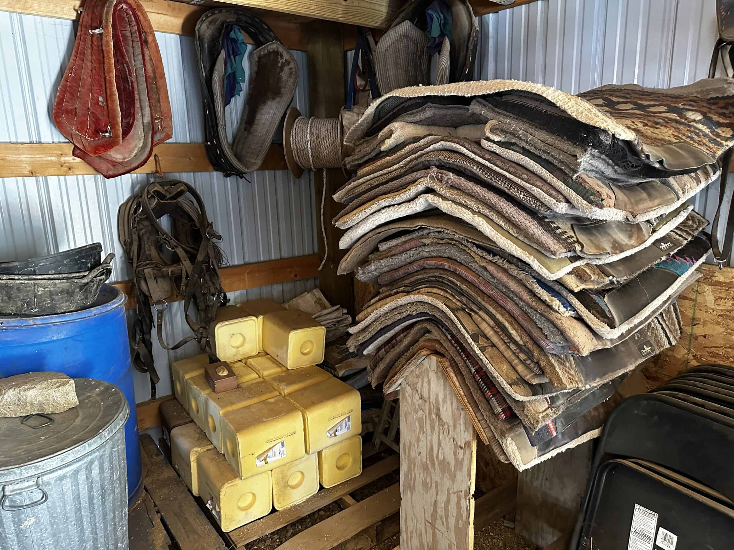 Colorado Wilderness Elk Hunting Outfitting Business for Sale