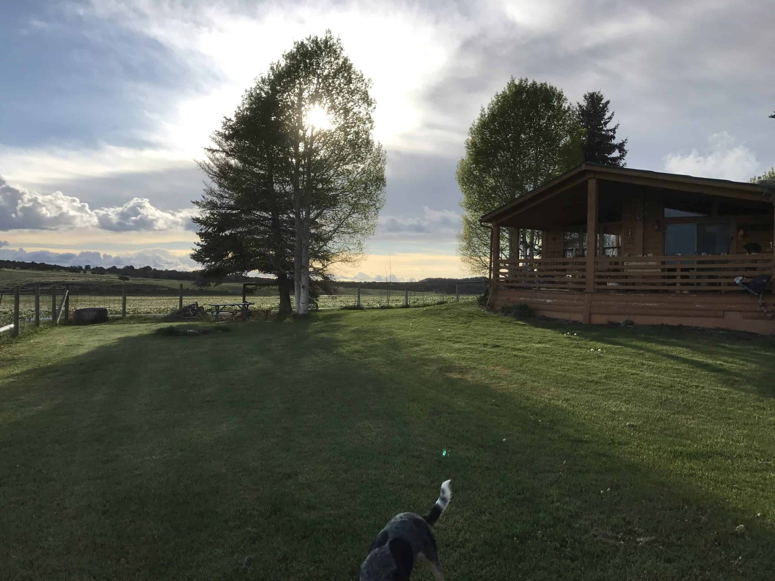 Colorado Horse Property with Multiple Homes & Irrigated Land