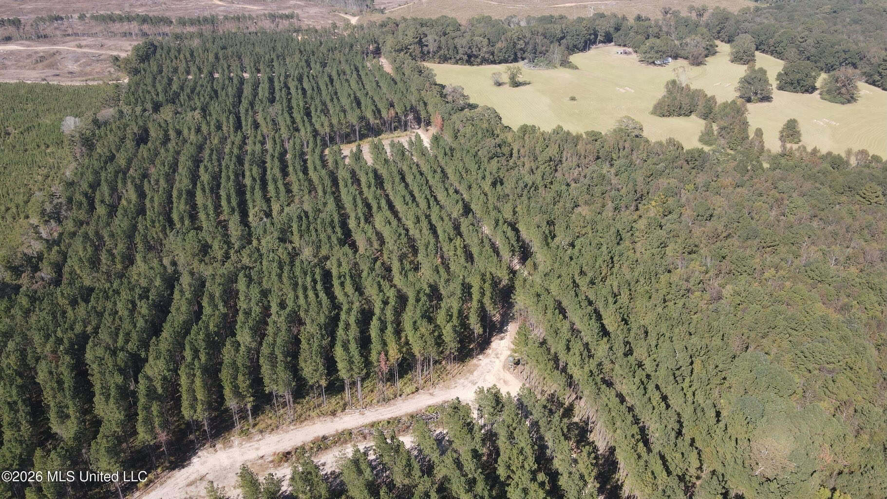 35 Acres for Sale in Pelahatchie, MS | Rankin County