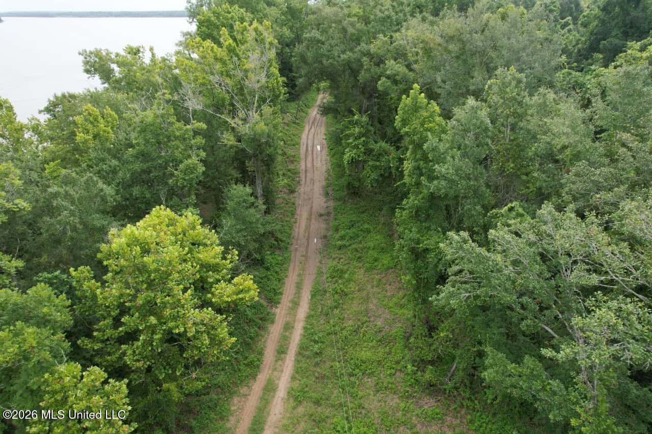 140± Acres in West Feliciana Parish, LA