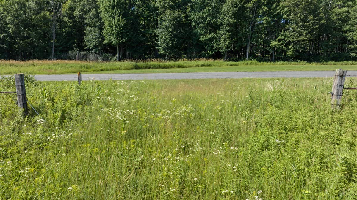 Wisconsin Conservation Land for Sale | 97± Acres in Monroe County