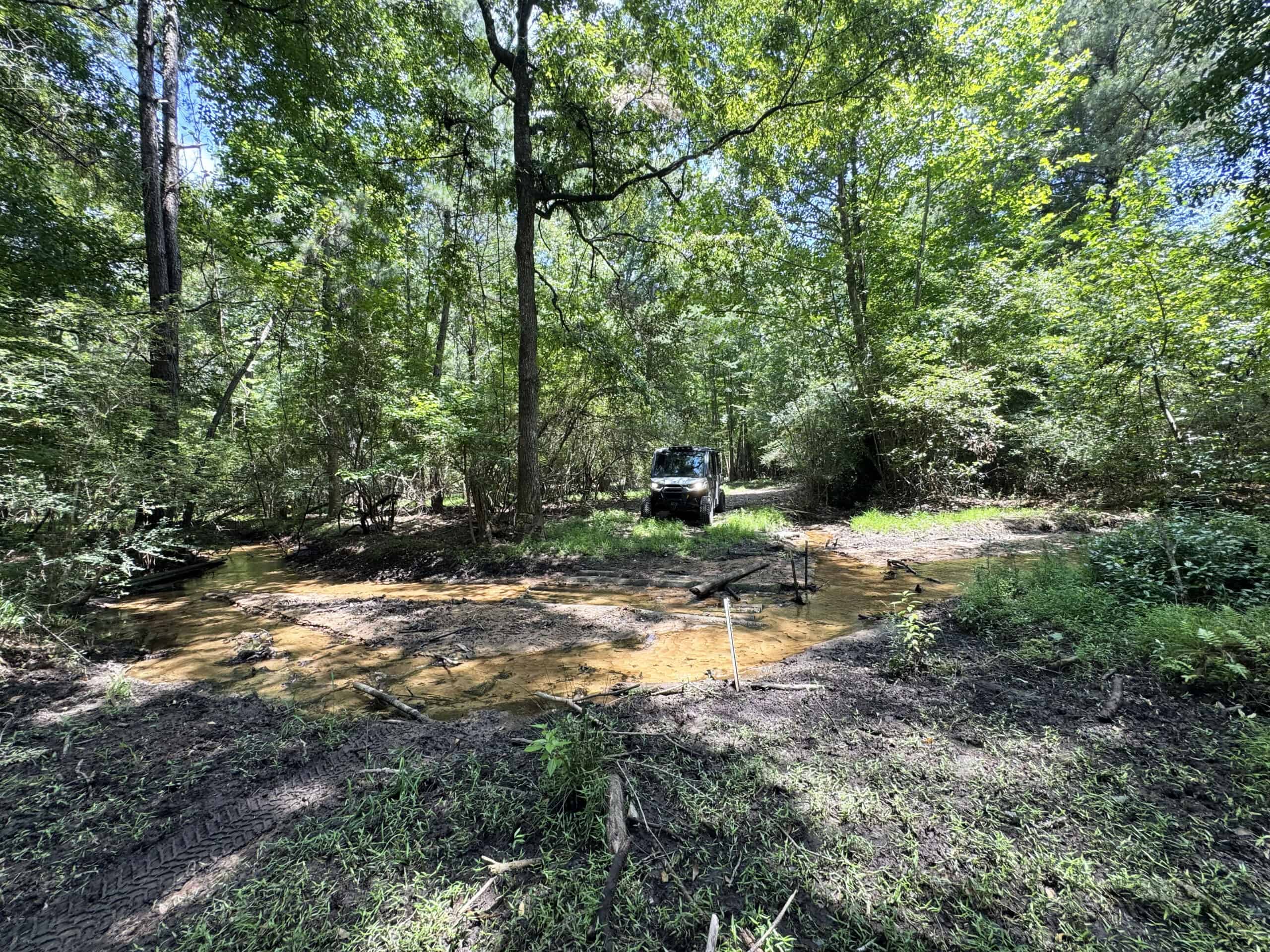 Cotton House Tract: premier 545ac hunting & recreational property in Randolph Cty