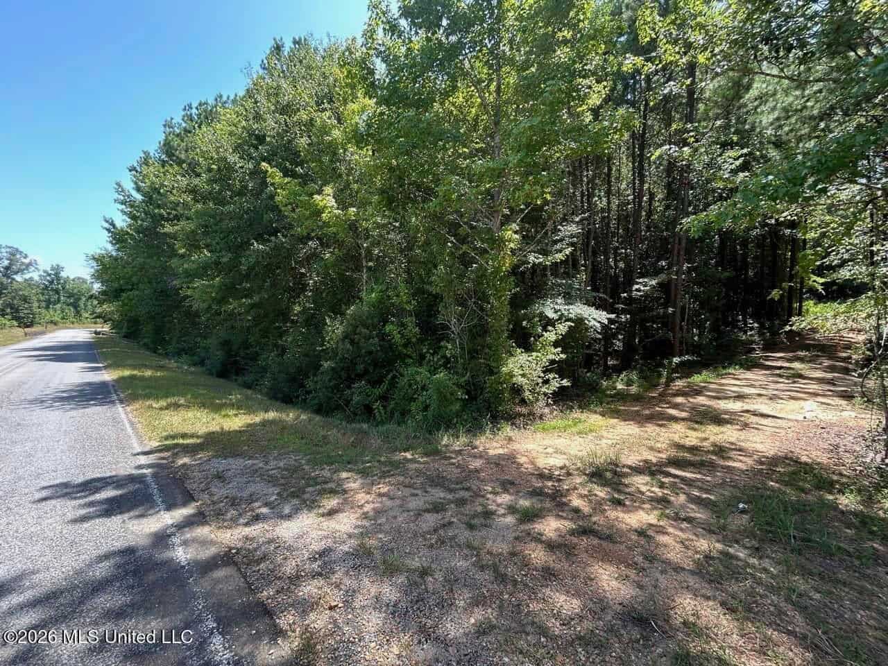 11± Acres in McCall Creek, MS with Creek Frontage
