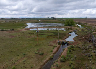 Colorado Alfalfa Farm and Waterfowl Duck Hunting Property