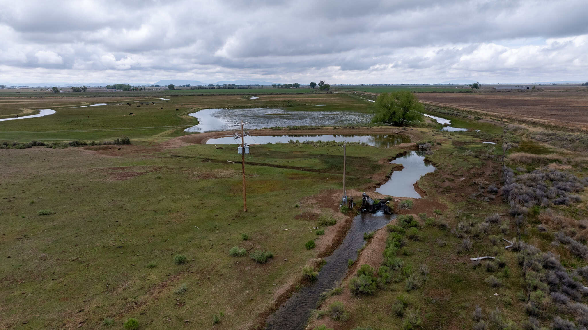 Colorado Alfalfa Farm and Waterfowl Duck Hunting Property