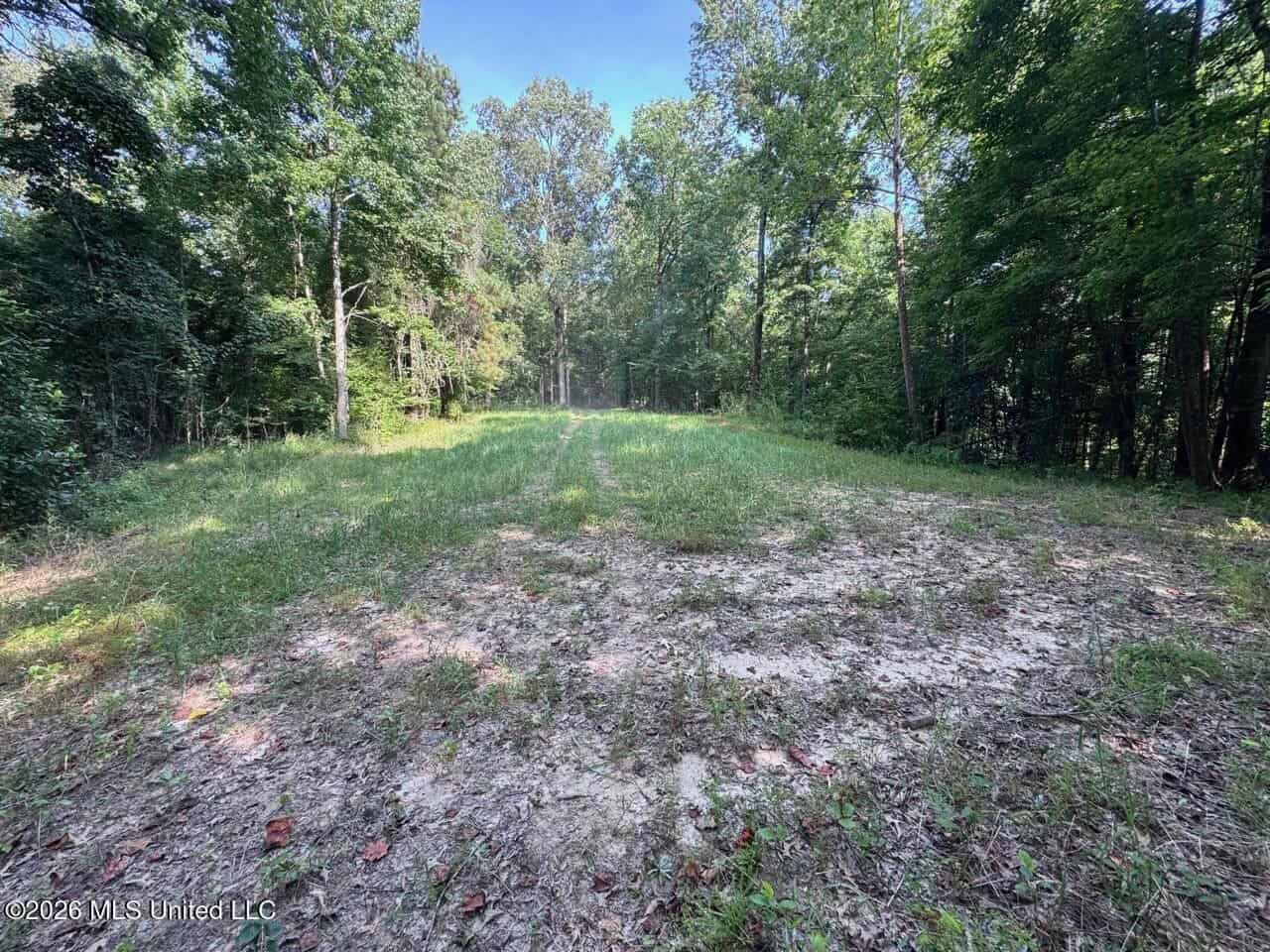 375± Acres in Jefferson County, MS Near Natchez Trace