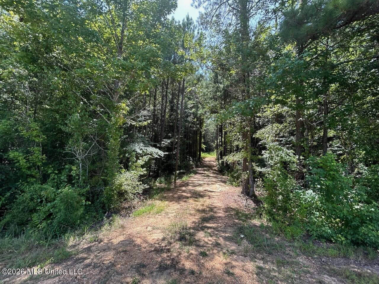 11± Acres in McCall Creek, MS with Creek Frontage