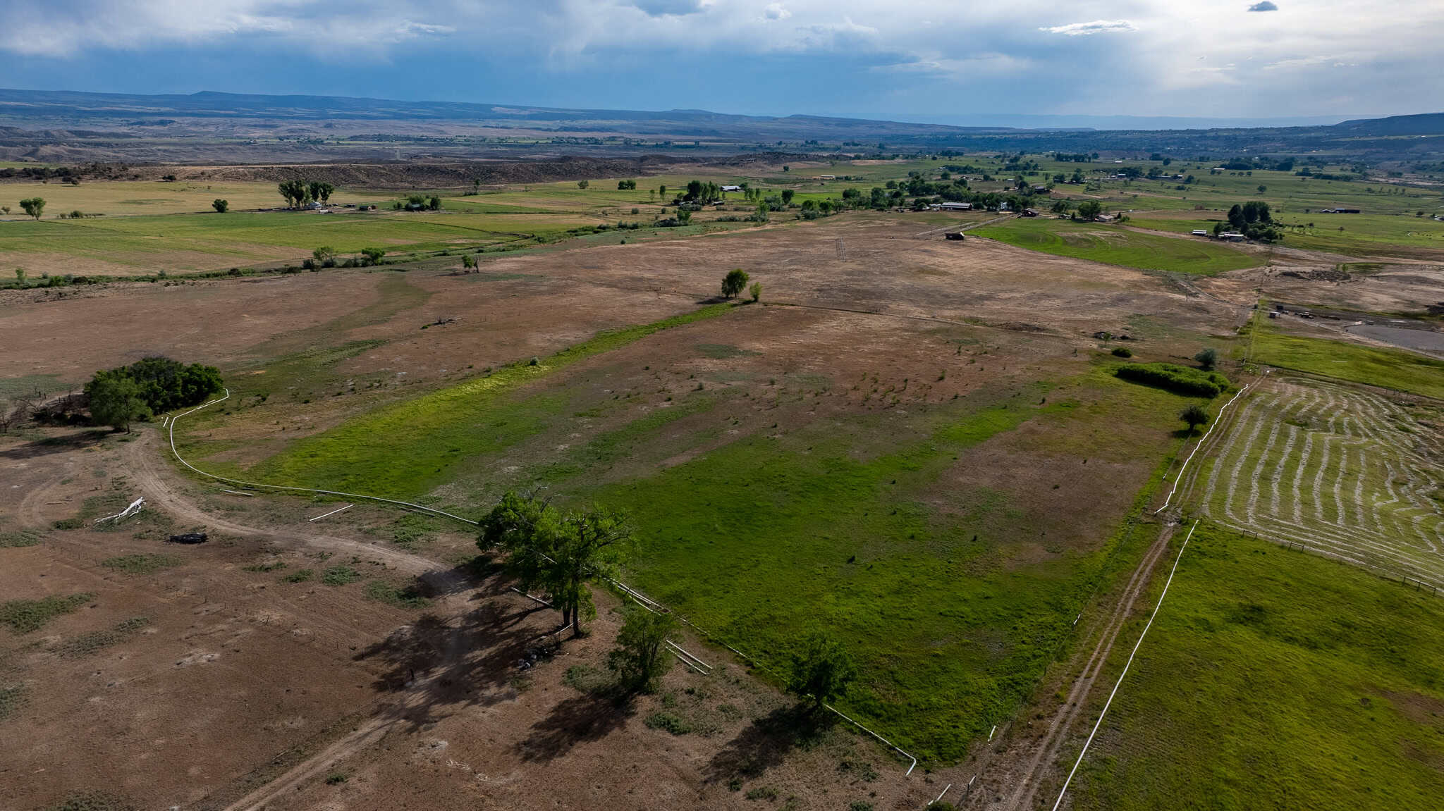 Elk Vista Ranch: Mountain Home & Acreage For Sale in Paonia, CO
