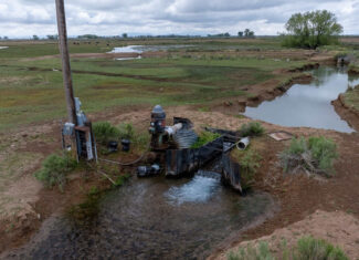 Colorado Alfalfa Farm and Waterfowl Duck Hunting Property