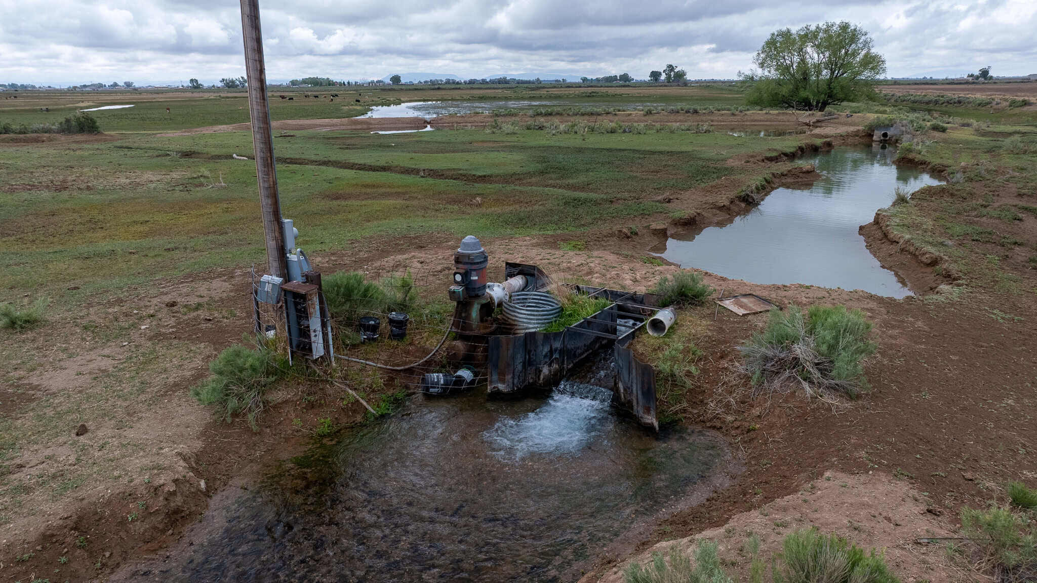 Colorado Alfalfa Farm and Waterfowl Duck Hunting Property