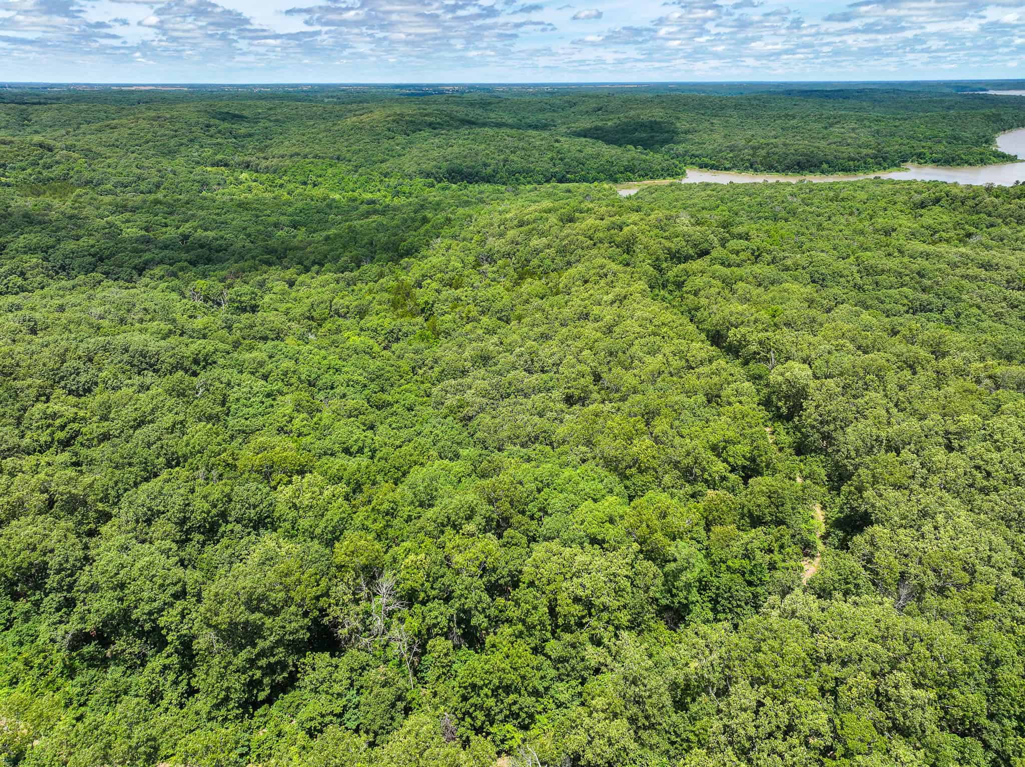 Truman Lake Hunting Property