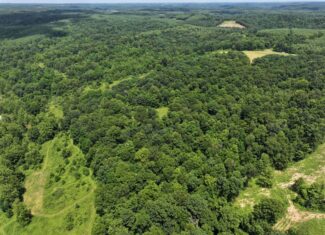 Dream Turnkey Morgan County Hunting Property